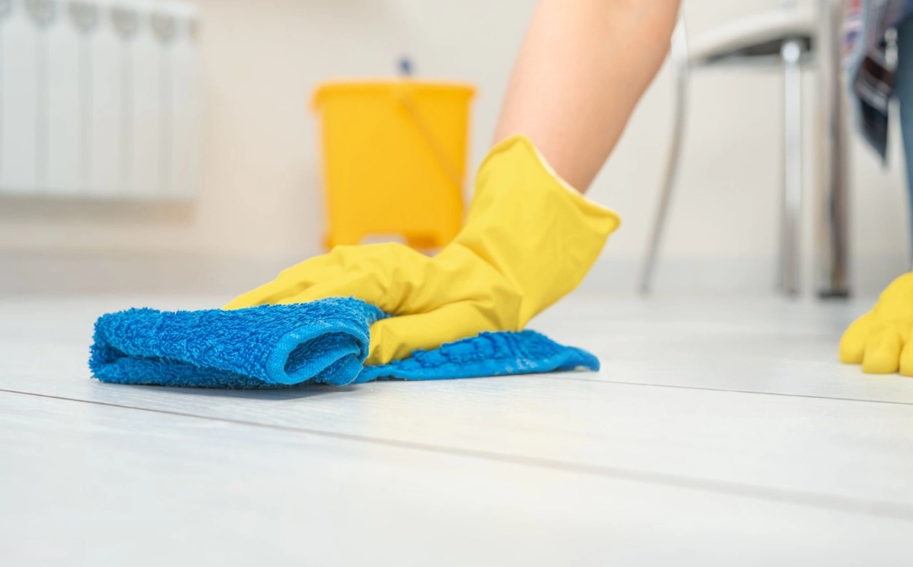 Deep Clean vs. Basic Clean What's the Difference